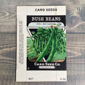 1920s Litho Antique Vintage Card Seed Co. Packet Box Bush Beans Unused